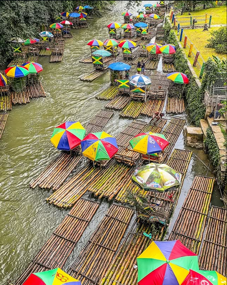 Jungle swing over tropical valley