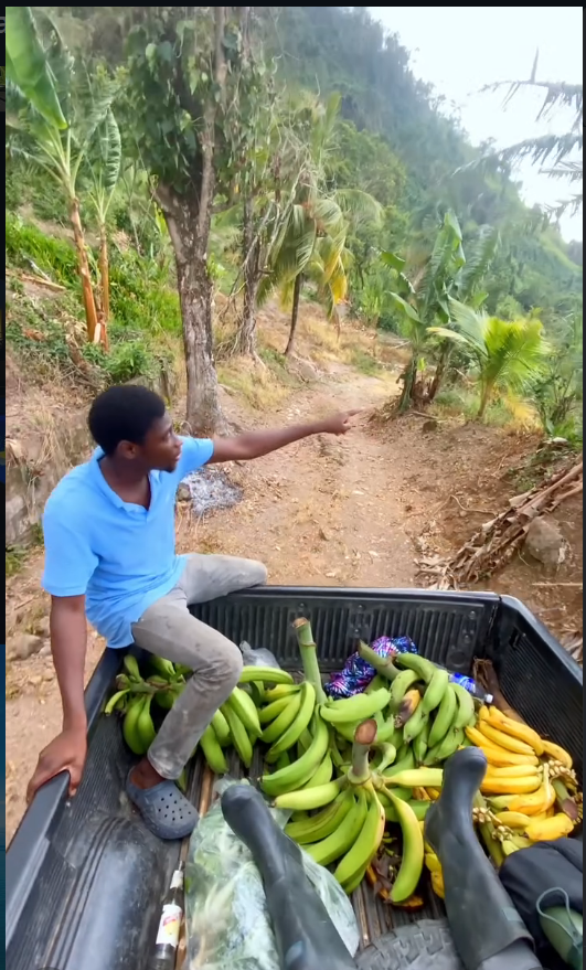 Nightlife scene in Kingston