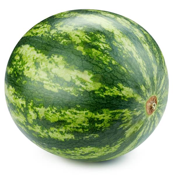 Fresh Seedless Watermelon (Whole)