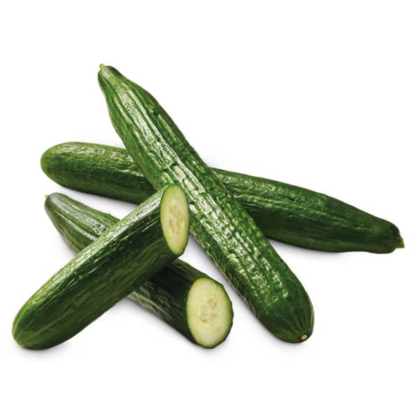 Seedless Cucumber