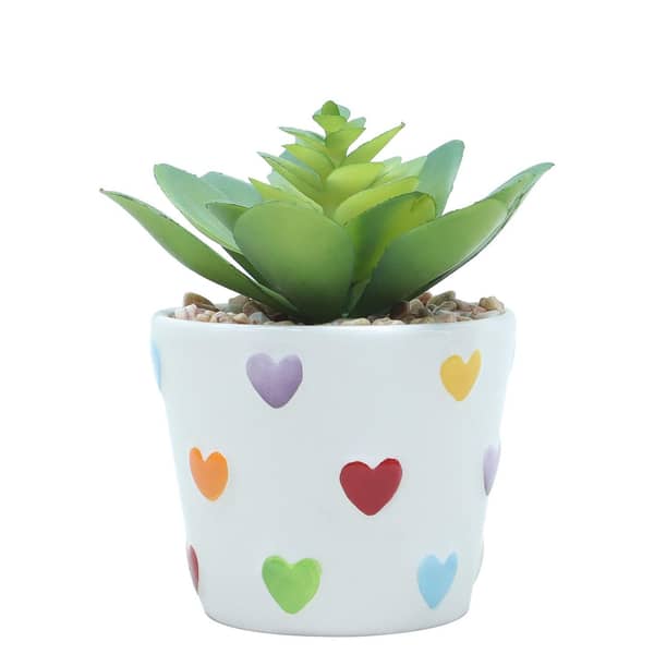 Joyward Rainbow Hearts Potted Succulent