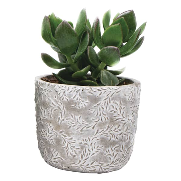 Ceramic Plant