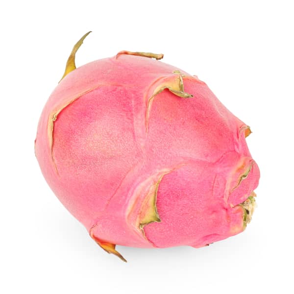4" Dragon Fruit
