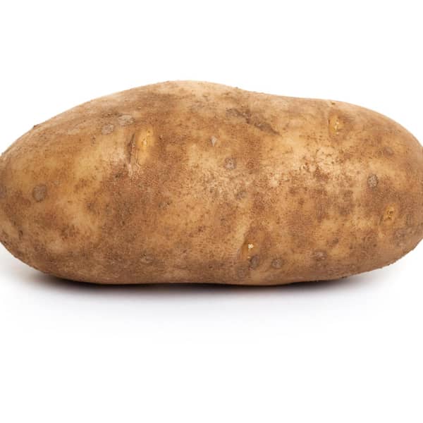 Large Russet Potato