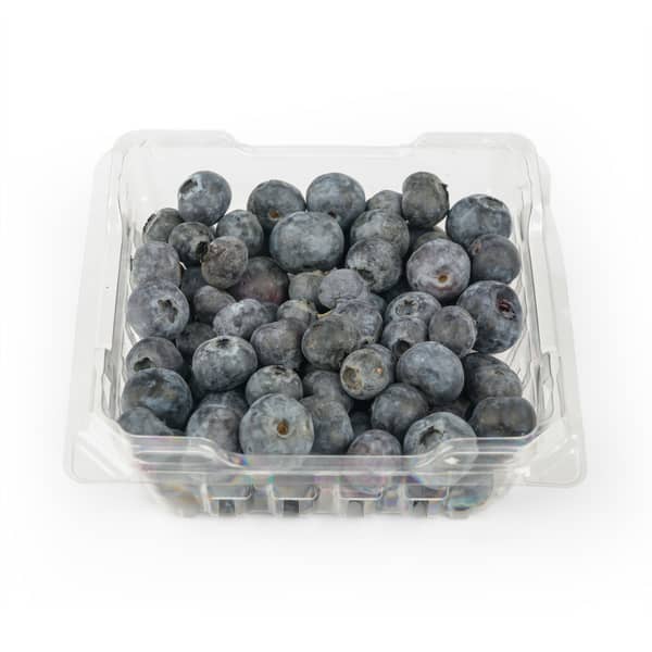 Fresh Blueberries
