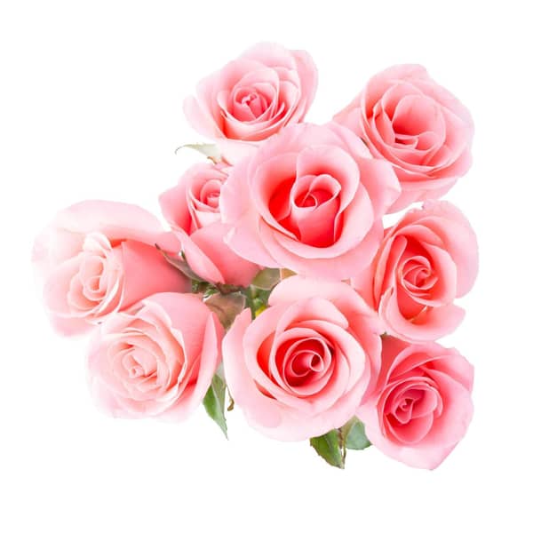 Rose Bouquet