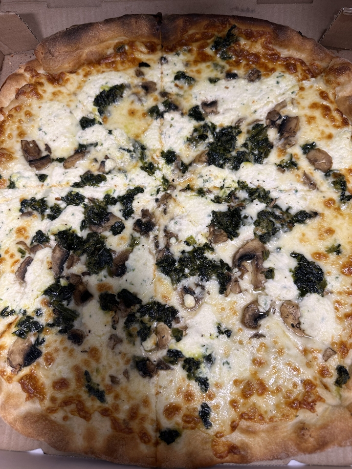 Medium Spinach Bianca 10in.