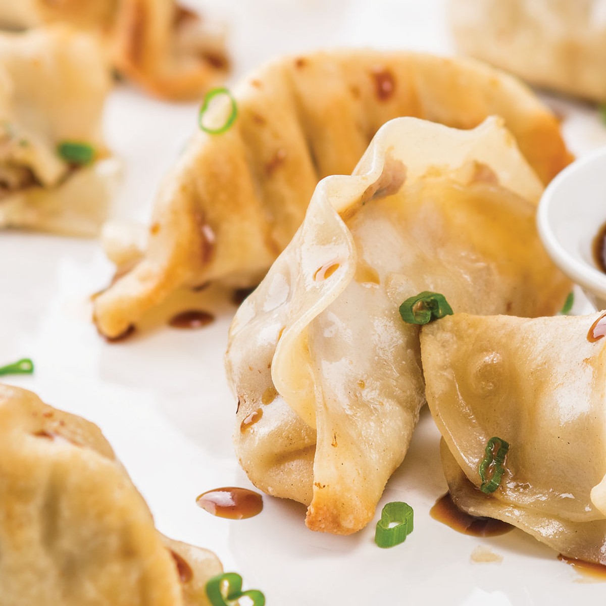 Pork Potstickers - 6 Pack