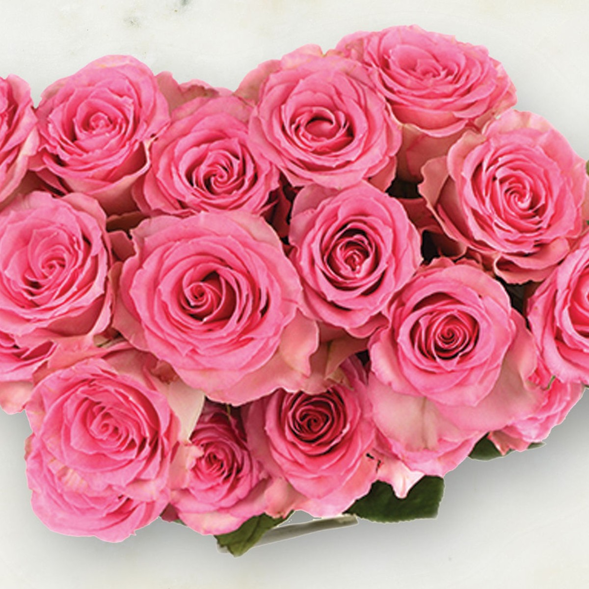 Two Dozen Long Stem Roses